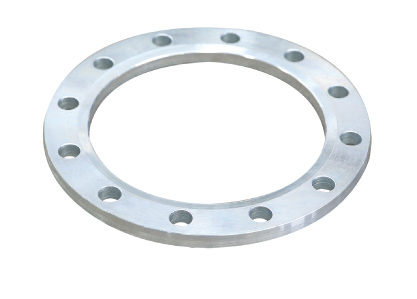 Steel Flange Disc